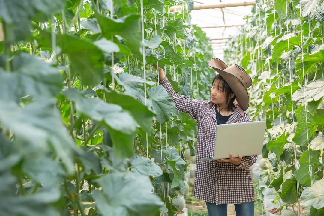 2025年酒店运营管理新趋势：数字化工具驱动服务品质升级